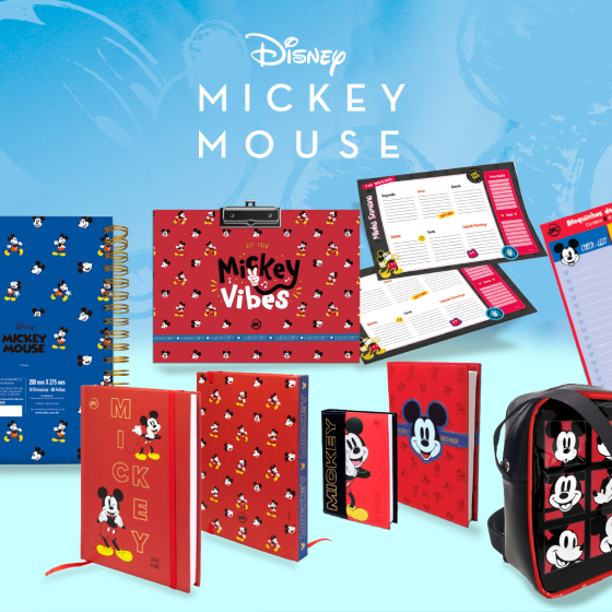 O MUNDO MÁGICO DA ORGANIZAÇÃO COM O MICKEY MOUSE