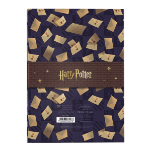 5621-Pasta-Catálogo-Harry-Potter-Verso